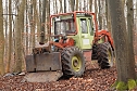 auto im Wald (Foto: S.Dietzel)