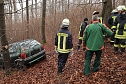 auto im Wald (Foto: S.Dietzel)