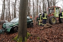auto im Wald (Foto: S.Dietzel)