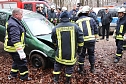 auto im Wald (Foto: S.Dietzel)