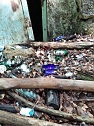 Verm&uuml;llung im Wald (Foto: Uli Kl&uuml;&szlig;endorf)
