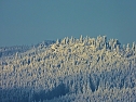 Winterliche Harzimpressionen (Foto: P.Blei) Winterliche Harzimpressionen (Foto: P.Blei)