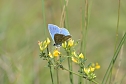 Naturvielfalt im S&uuml;dharz (Foto: Thomas Stephan)