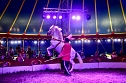 Zirkus Atlantik in Sundhausen (Foto: City-Scout Sven G&auml;mkow)