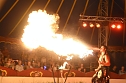 Zirkus Atlantik in Sundhausen (Foto: City-Scout Sven G&auml;mkow)