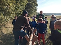 Sport- und Spielwoche der Grundschule Hohenebra (Foto: GS Hohenebra)