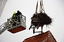 Bauarbeiten am Ringelebener Storchennest (Foto: Henri Fensterer)