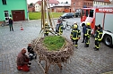 Bauarbeiten am Ringelebener Storchennest (Foto: Henri Fensterer)