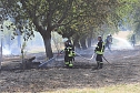 Flächenbrand zwischen Groß- und Kleinfurra (Foto: S.Dietzel) Flächenbrand zwischen Groß- und Kleinfurra (Foto: S.Dietzel)