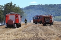Flächenbrand zwischen Groß- und Kleinfurra (Foto: S.Dietzel) Flächenbrand zwischen Groß- und Kleinfurra (Foto: S.Dietzel)