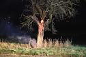 Brennender Baum bei Holzengel (Foto: S. Dietzel) Brennender Baum bei Holzengel (Foto: S. Dietzel)