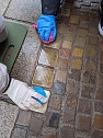 Engagierte Sch&uuml;lerinnen und Sch&uuml;ler reinigten am Tag des Gedenkens an die Opfer des Holocaust Stolpersteine in der Sondersh&auml;user Innenstadt (Foto: Janine Skara)