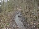 Wasser auf Wanderweg (Foto: Karl-Heinz Herrmann)