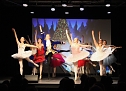 Getanzte Weihnachtsm&auml;rchen des Tanzstudio Radeva (Foto: Dimitar Radev)