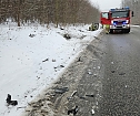 Unfall heute Mittag (Foto: S.Dietzel) Unfall heute Mittag (Foto: S.Dietzel)