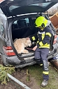 Feuerwehrmann k&uuml;mmert sich um den Hund des verunfallten Fahrers (Foto: S. Dietzel)