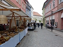 Pflanzenmarkt Sondershausen (Foto: Karl-Heinz Herrmann)
