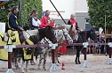 Hochprofessionelle Reitershow mit "Wenzel Ritterspiele" (Foto: Eva Maria Wiegand)