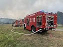 Brand in der Schie&szlig;anlage (Foto: S.Dietzel)