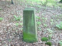 Vergessene Grenzsteine (Foto: Karl-Heinz Herrmann) Vergessene Grenzsteine (Foto: Karl-Heinz Herrmann)
