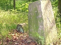 Vergessene Grenzsteine (Foto: Karl-Heinz Herrmann) Vergessene Grenzsteine (Foto: Karl-Heinz Herrmann)