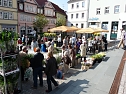 Herbstpflanzenmarkt (Foto: Karl-Heinz Herrmann)