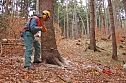 Aus- und Weiterbildung von Waldbesitzern (Foto: Forstamt Oldisleben)