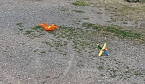 Spiel und Spa&szlig; (Foto: Karl-Heinz Herrmann)