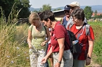 Bild: Veranstaltungstipps Hohe Schrecke (Foto: Touristinformation Wiehe)
