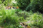Impressionen aus Bad Langensalza (Foto: Friedling)