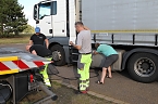 Odyssee in der Abbiegespur (Foto: S.Dietzel)