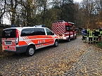 Bild: Suche war erfolgreich (Foto: S. Dietzel)