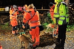 Bild: Suche war erfolgreich (Foto: S. Dietzel)