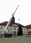 Bild: Weihnachtsmeldungen aktuell (Foto: Peter M&ouml;bius)