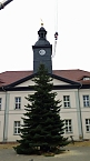 Bild: Weihnachtsmeldungen aktuell (Foto: Peter M&ouml;bius)
