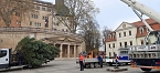 Auch in Sondershausen steht der Weihnachtsbaum (Foto: Karl-Heinz Herrmann)