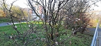 Natur (Foto: privat) Natur (Foto: privat)