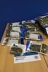 Marihuanabl&uuml;ten  (Foto: Pressestelle LPI)