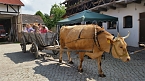 Ferien auf dem Erlebnisbauernhof Kleinberndten (Foto: Landleben e.V.)