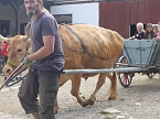 Ferien auf dem Erlebnisbauernhof Kleinberndten (Foto: Landleben e.V.)