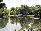 Im W&ouml;rlitzer Park (Foto: P.Blei)