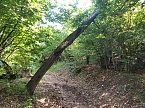 Der Weg ist das Ziel (Foto: FAU)