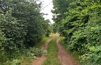 Der Weg ist das Ziel (Foto: FAU)