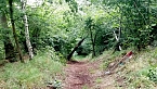 Der Weg ist das Ziel (Foto: FAU)