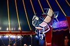 Zirkus Atlantik in Sundhausen (Foto: City-Scout Sven Gämkow) Zirkus Atlantik in Sundhausen (Foto: City-Scout Sven Gämkow)