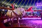 Zirkus Atlantik in Sundhausen (Foto: City-Scout Sven Gämkow) Zirkus Atlantik in Sundhausen (Foto: City-Scout Sven Gämkow)