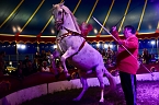 Zirkus Atlantik in Sundhausen (Foto: City-Scout Sven Gämkow) Zirkus Atlantik in Sundhausen (Foto: City-Scout Sven Gämkow)