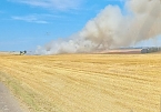 Feldbrand bei Allmenhausen (Foto: Feuerwehr Ebeleben/ SD) Feldbrand bei Allmenhausen (Foto: Feuerwehr Ebeleben/ SD)