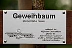 Einweihung Geweihbaum zum 40. Chorjubil&auml;um des Frankenh&auml;user Frauenchors (Foto: Eva Maria Wiegand)
