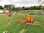 Orangerie in Bendeleben (Foto: Eva Maria Wiegand)